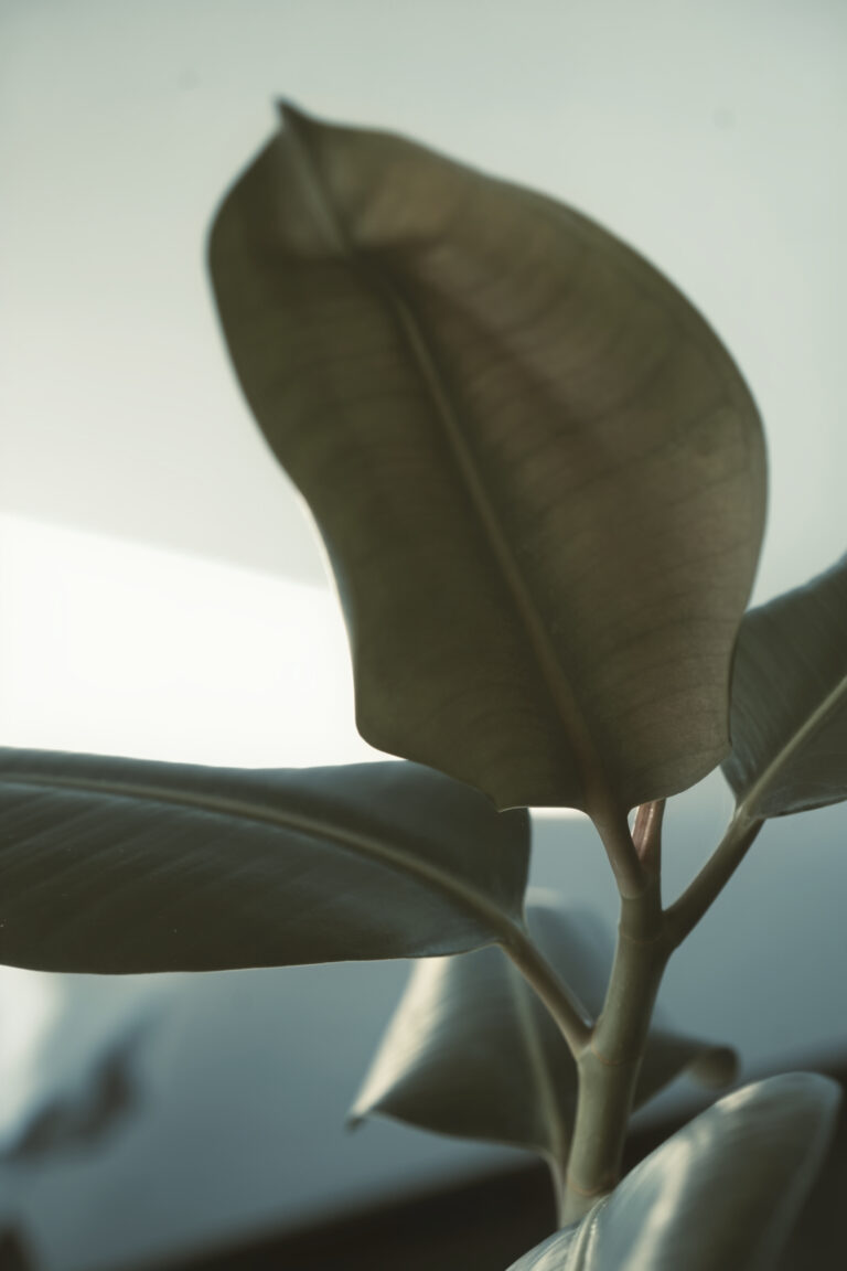 Arno-Walti-Coaching-Supervision-Bern